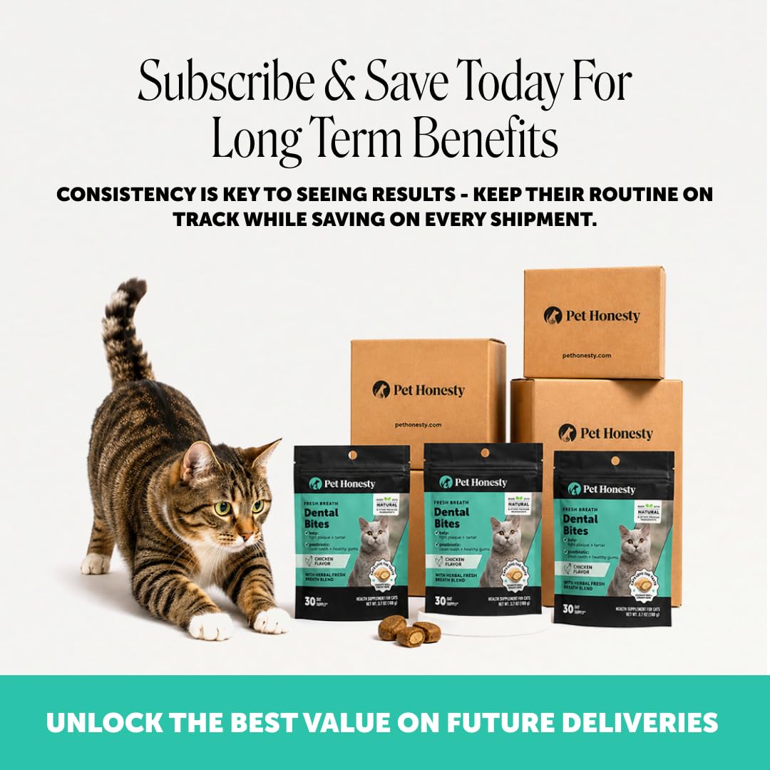 Cat Teeth Cleaning Bites K88636