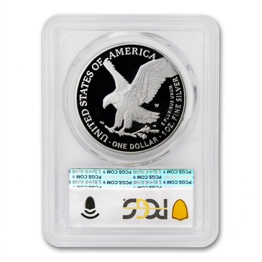 1 oz American Silver Eagle Proof D57069
