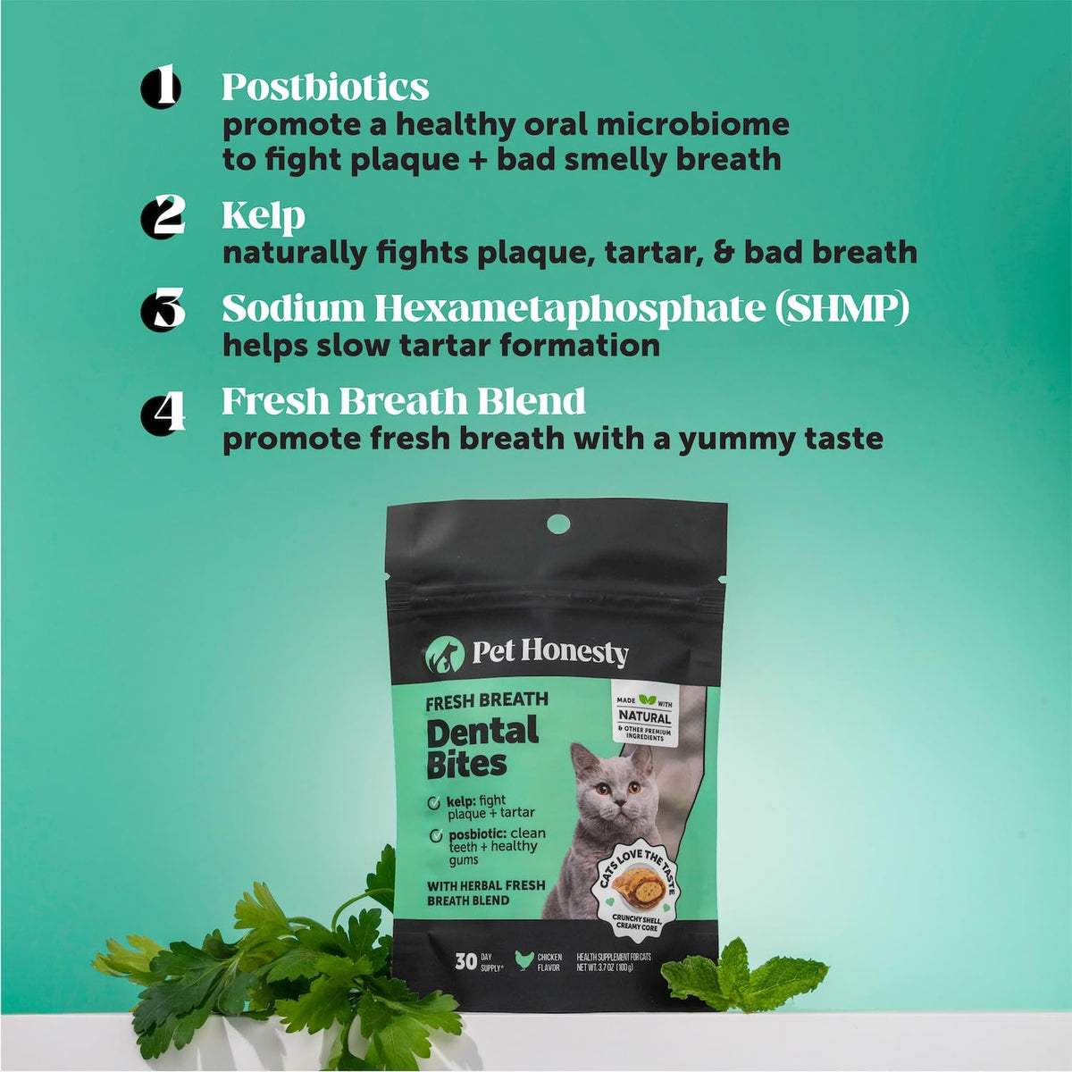 Cat Teeth Cleaning Bites K88636