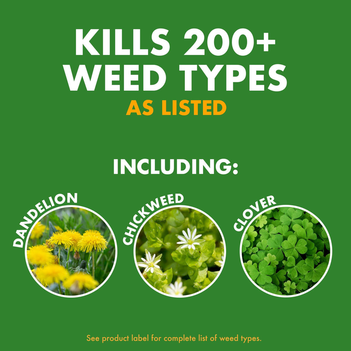 1 Gal Concentrate Weed Stop for Lawns F4319