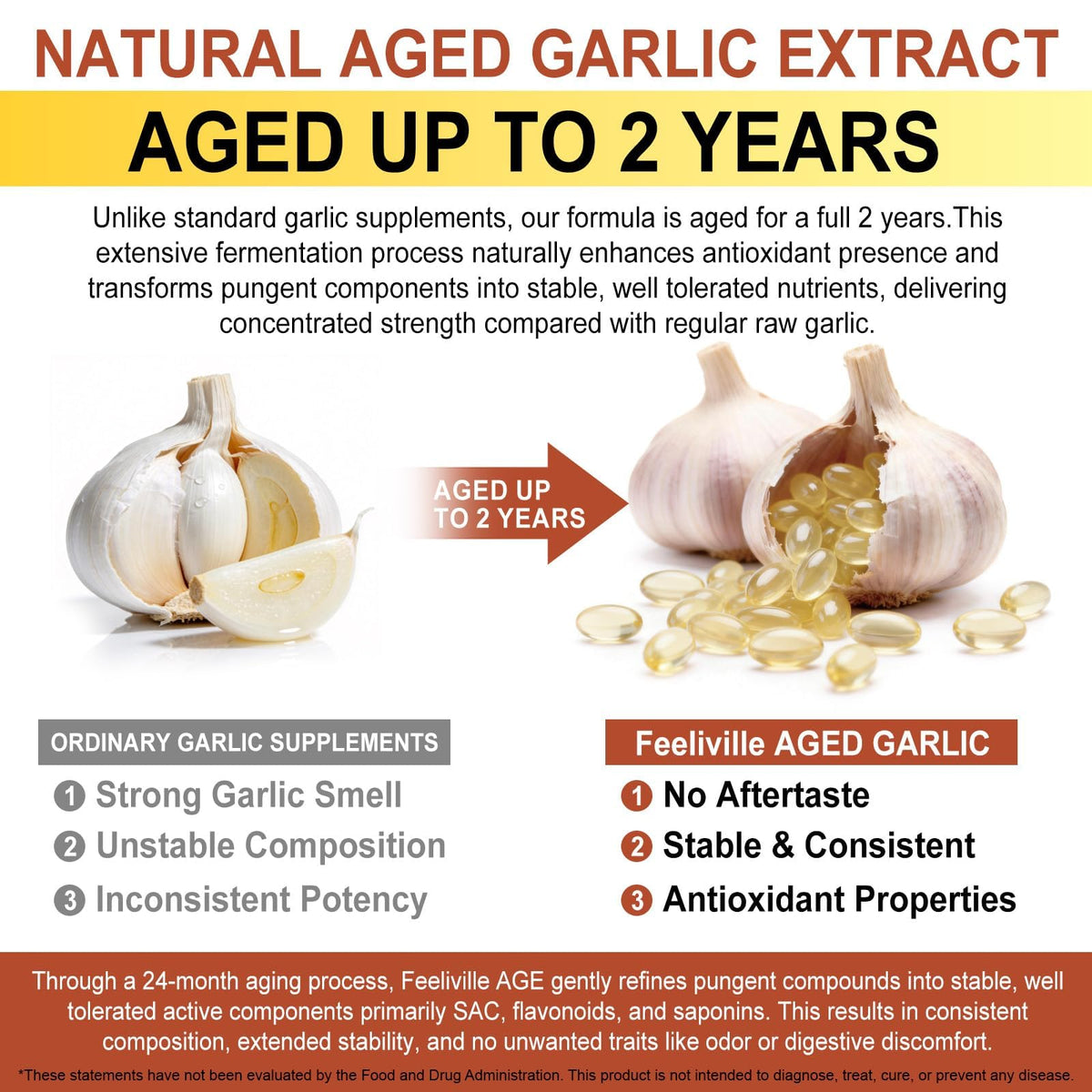 Aged Garlic Extract Capsules 15:1 Concentrated Formula 2 Pack F203