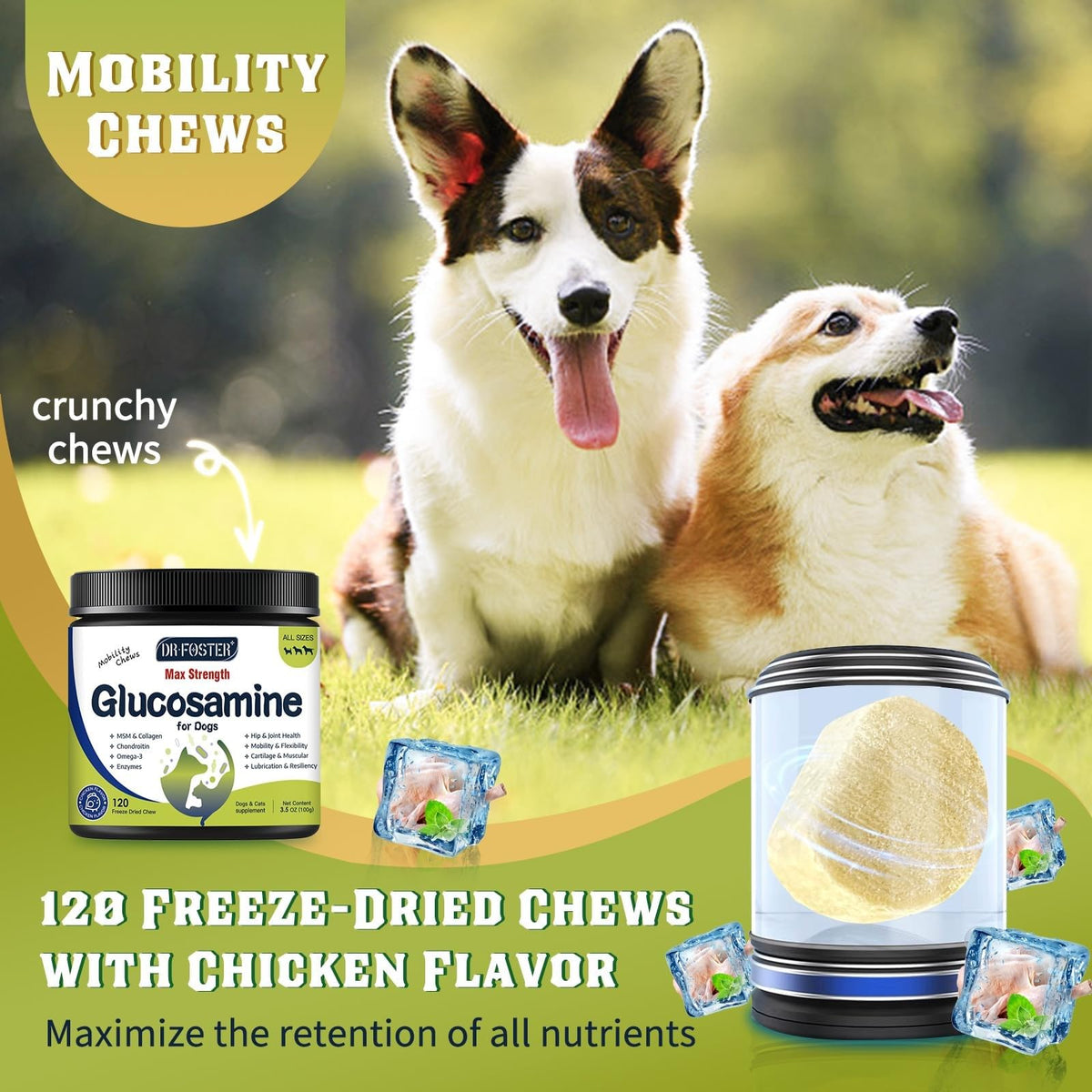 Glucosamine for Dogs Chicken Flavor 120 Freeze-Dried Chews N456649