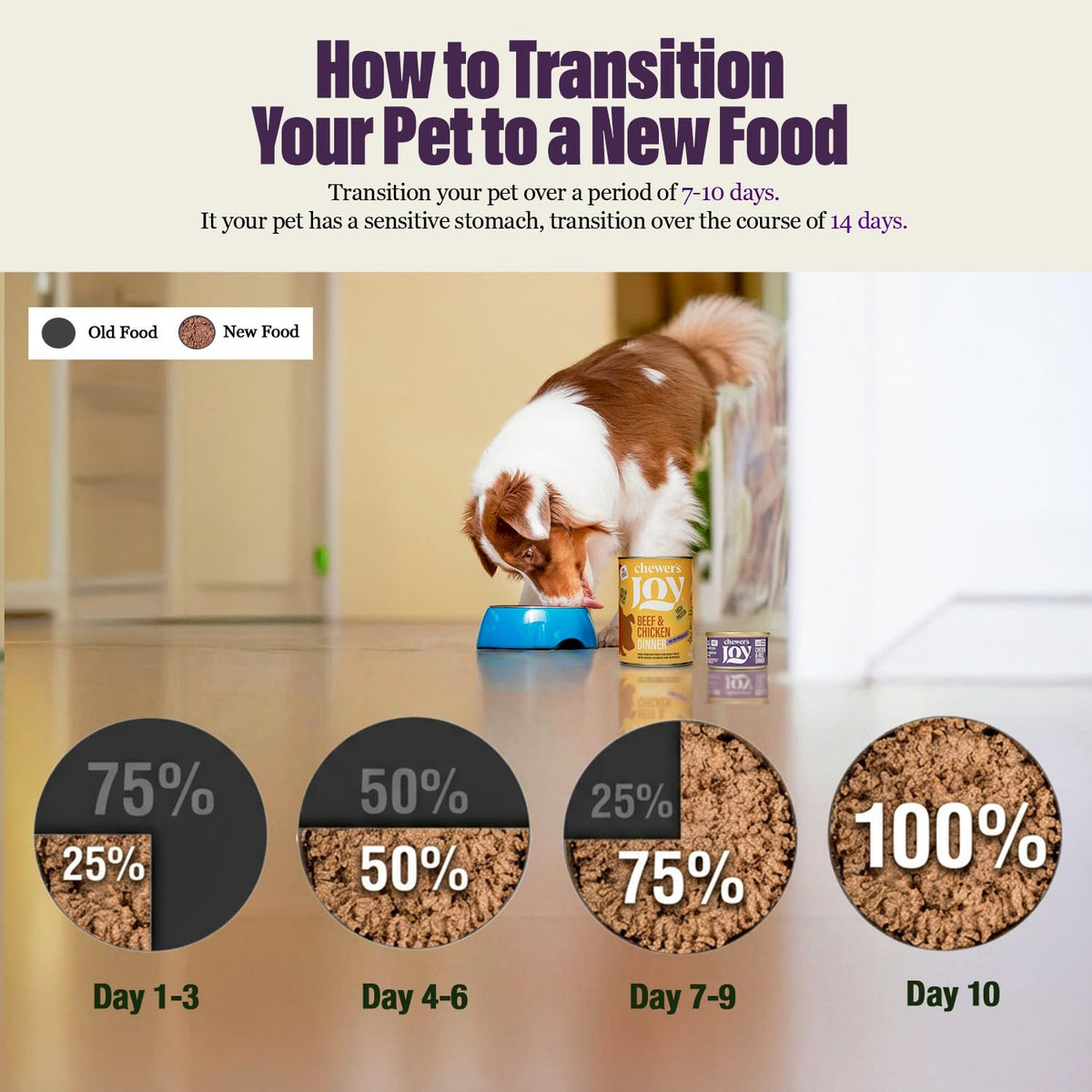 Wet Dog Food Small Breed Variety Pack Canned Food 12 Cans 14 oz J40986