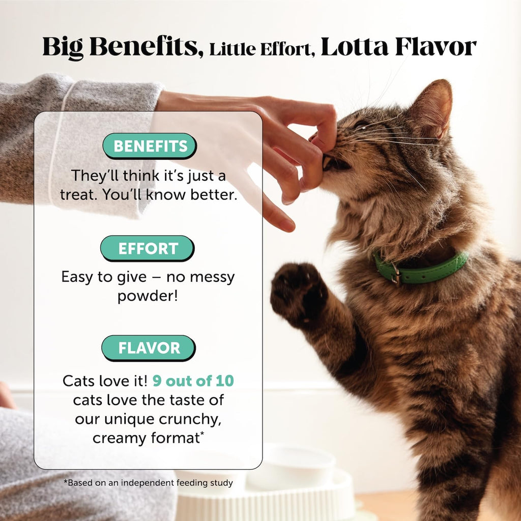 Cat Teeth Cleaning Bites K88636