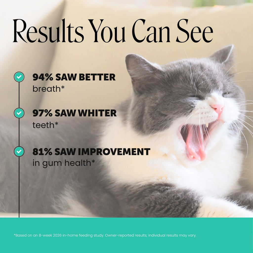 Cat Teeth Cleaning Bites K88636