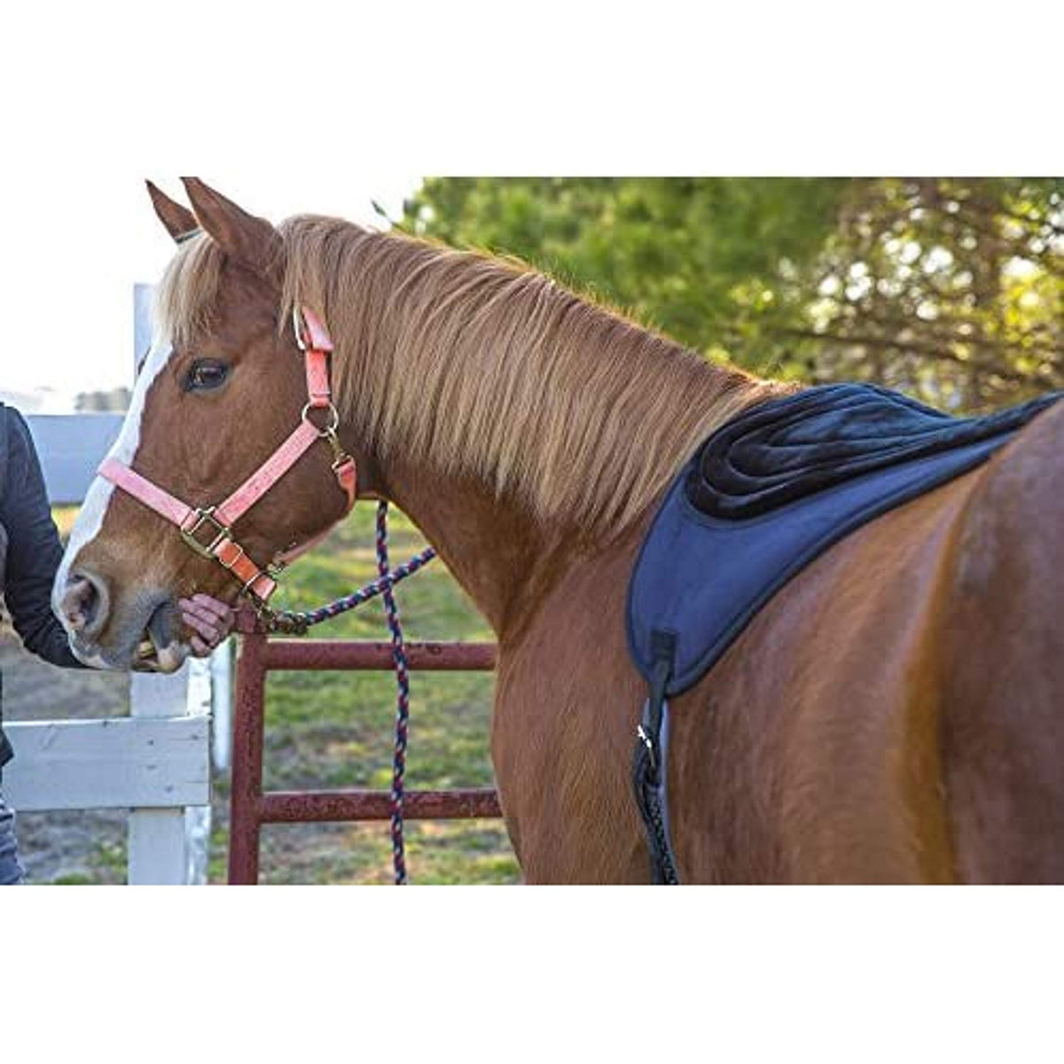 Black Bareback Pad S722284