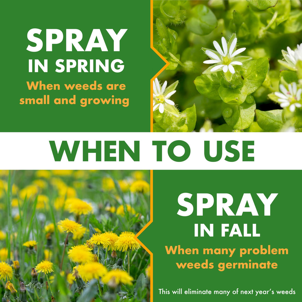 1 Gal Concentrate Weed Stop for Lawns F4319