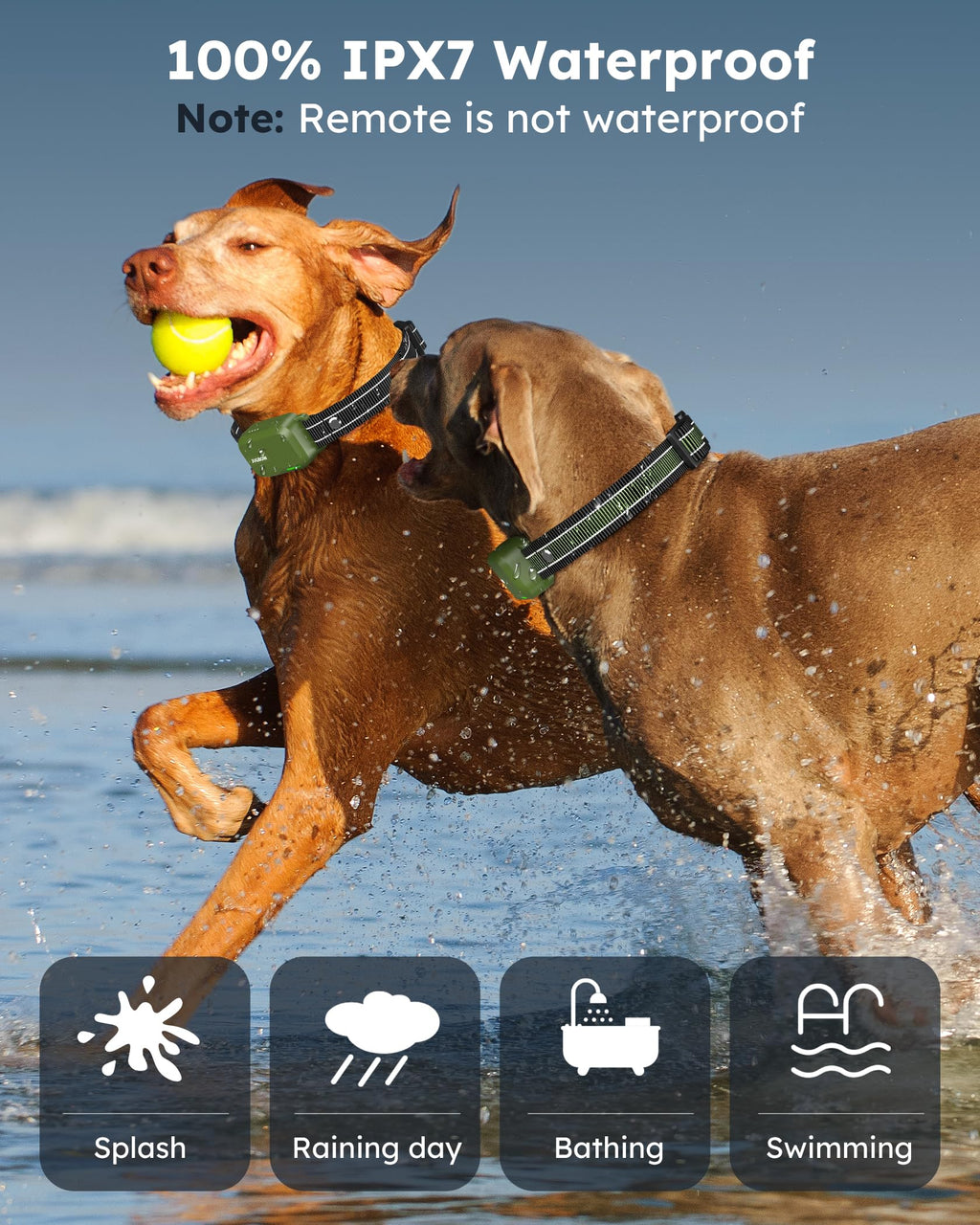 2 Dogs Shock Collar with Remote O2587