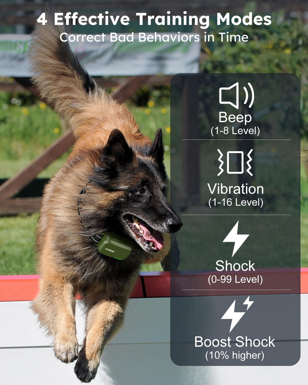 2 Dogs Shock Collar with Remote O2587