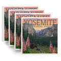Yosemite National Park Ceramic Coasters Set of 4 K437