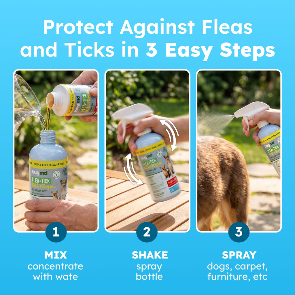Flea and Tick Spray for Dogs A933