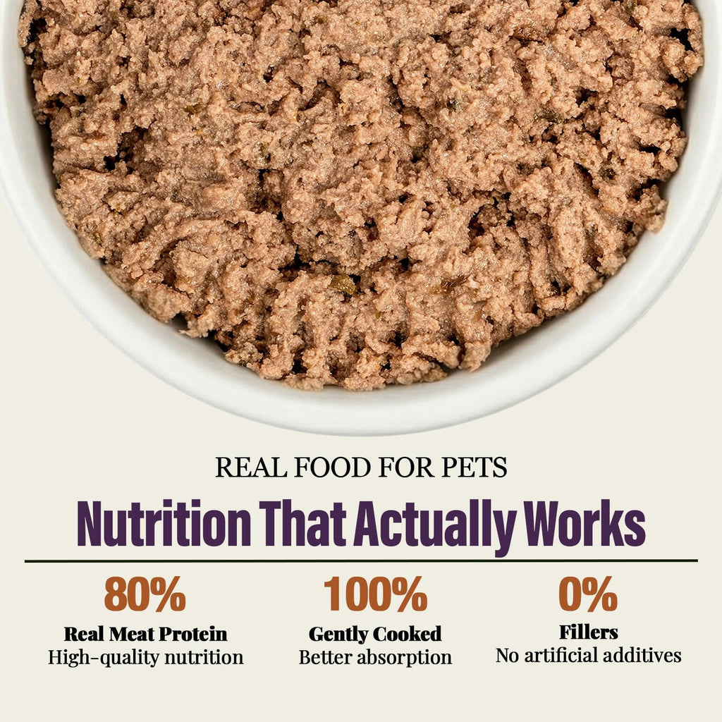 Wet Dog Food Small Breed Variety Pack Canned Food 12 Cans 14 oz J40986