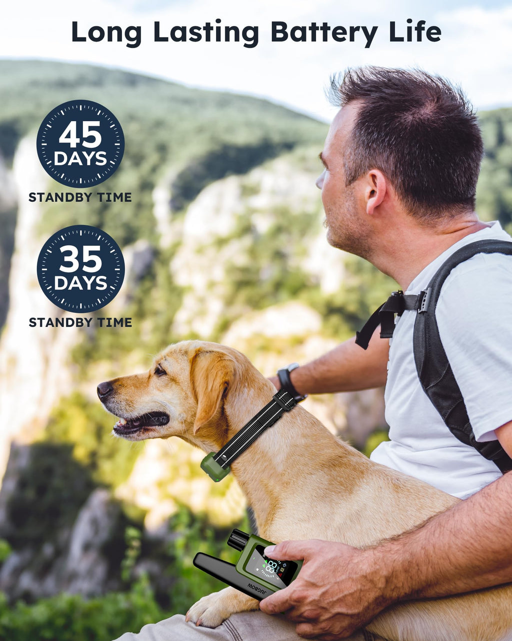 2 Dogs Shock Collar with Remote O2587