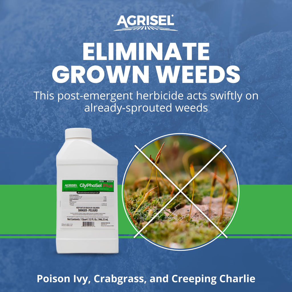 32 Ounces Post Emergent Weed Killer N14153