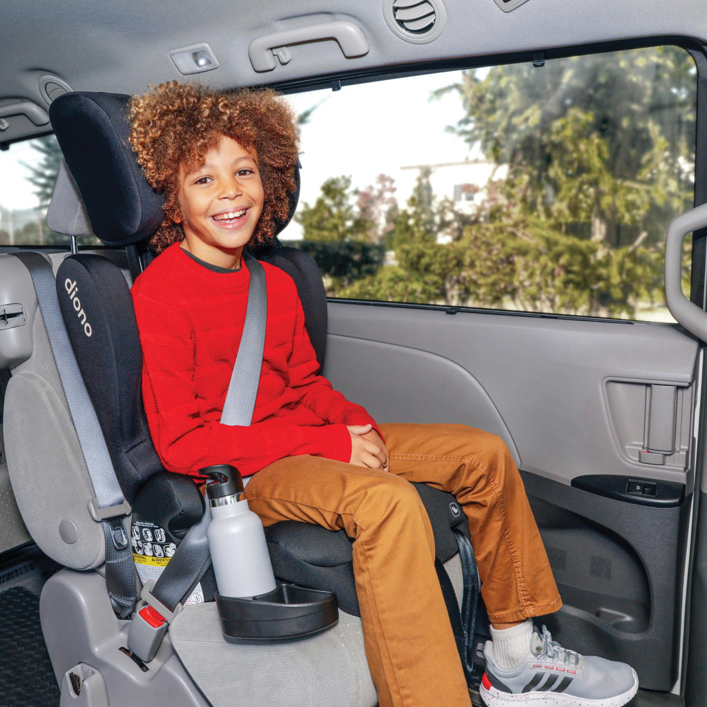 2-in-1 Belt Positioning Booster Seat, Black E8421
