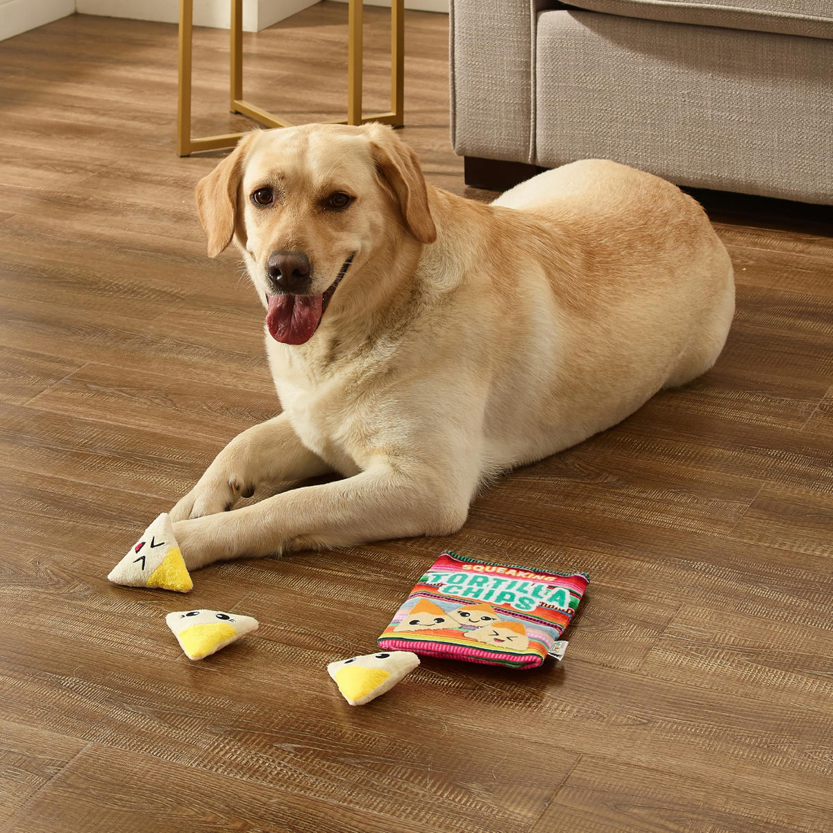 Tortilla Chips Puzzle Squeaky Dog Toys W479