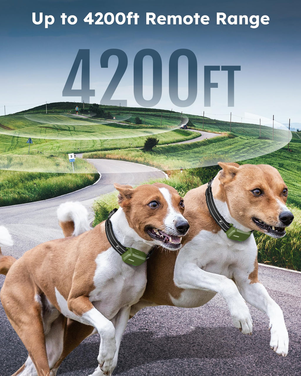 2 Dogs Shock Collar with Remote O2587