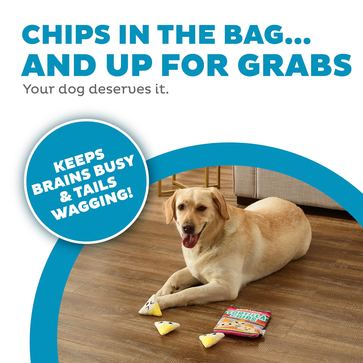 Tortilla Chips Puzzle Squeaky Dog Toys W479